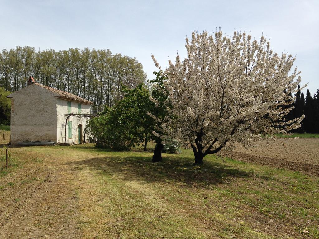 La Maison Du Peintre En Provence Mallemort Exterior foto